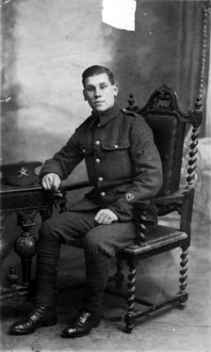 Albert Newton 1917