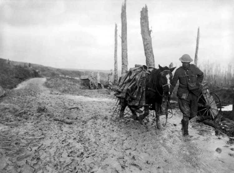 Battle of the Ancre NOvember 1916 