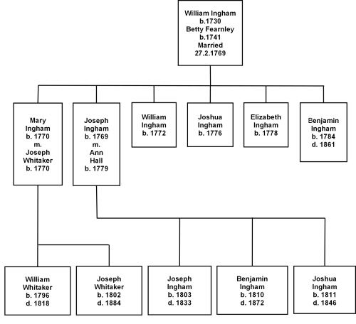 Ingham Tree